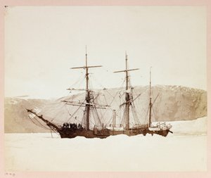 Arktische Expedition (1875-1876) des Kapitäns George Nares (1831-1915): H