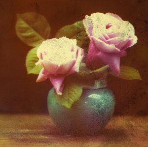 Rosen