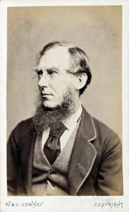 Sir Joseph Dalton Hooker, britischer Botaniker, spätes 19. Jahrhundert von Ferdinand Georg Waldmuller