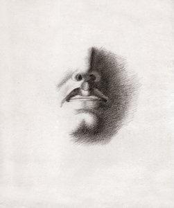 Studie für das Gesicht eines Mannes: Mund und Nase, um 1830 (Zeichnung) von . .