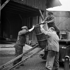 Schweiz Zweiter Weltkrieg bestehende Substanzen von Frederick (attr. to) Barnard