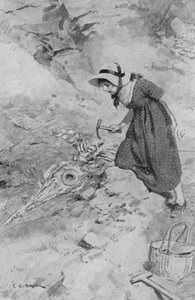 In Lyme Regis, Mary Anning, 12 Jahre alt, entdeckt den ersten Ichthyosaurus in England