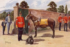 Das Haustier-Maultier und der Affe des Middlesex Regiments von after Edgar Alfred Holloway