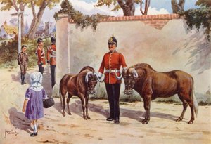 Gnus (oder Weißschwanz-Gnus), Haustiere der South Wales Borderers