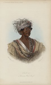 Tuch-ee, ein Cherokee-Kriegshäuptling (Aquatinta) von after George Catlin