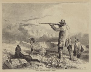 Moorhuhnjagd von after Richard Ansdell