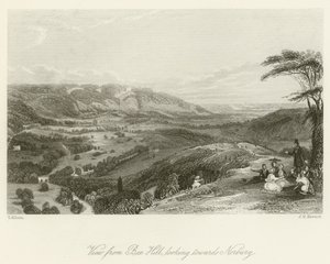 Blick von Box Hill in Richtung Norbury