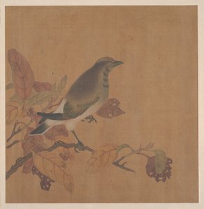 Vogel auf Zweig von anonymous 