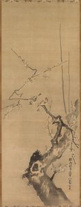 Spatzen auf blühendem Pflaumenbaum von attributed to Kano Tan’yū