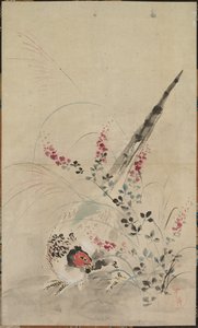 Fasan und Gräser von attributed to Ogata Kōrin
