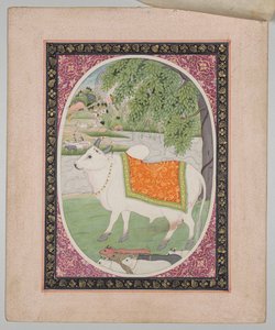 Stier, aus einer Mandi-Astrologie-Serie von attributed to Sanju