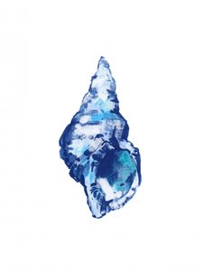 Abstrakte blaue Muschel von cartissi