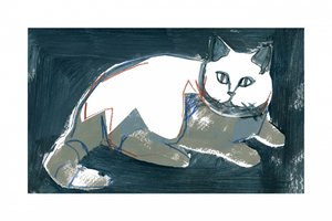 Künstlerische weiße Katze von cartissi