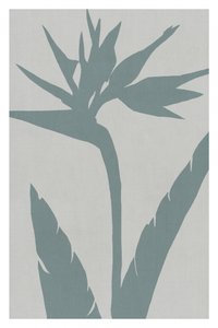 Paradiesvogel Silhouette