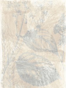 Erdige Botanische Schichten von cartissi