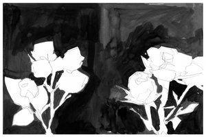 Elegante Nachtblüten von cartissi