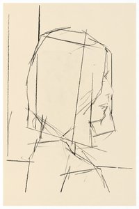 Geometrische Profilstudie von cartissi