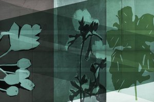 Geschichtete Botanische Schatten