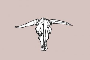 Minimalistischer Longhorn-Schädel