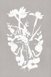 Moderne Botanische Silhouetten von cartissi