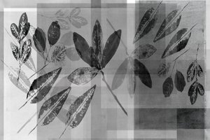 Monochrome botanische Schichten von cartissi