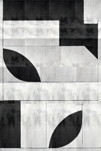 Monochrome organische Formen von cartissi