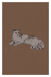 Entspannte graue Katze