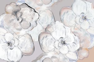 Weiche Weiße Blüten von cartissi
