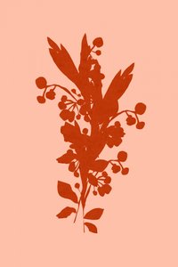 Terrakotta-Blumensilhouette von cartissi