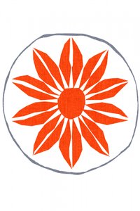 Lebendige orangefarbene Blüte von cartissi