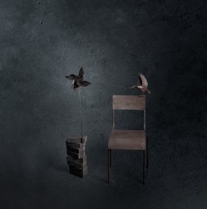 Dunkler Vogel leerer Stuhl