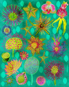 Lebendiger Botanischer Garten von giovanna nicolo