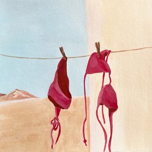 Wüsten-Bikinis