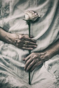 Zarte Hände halten Rose von nima.zadshir