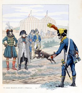 Illustration aus dem Buch „A la gloire des betes“: Der Moustache-Pudel wird dem Kaiser vorgestellt