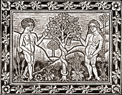 Der Baum, von dem Adam den Apfel aß, Faksimile aus einem Meditationsbuch, das erste Buch, das 1481 in Albi, Languedoc, gedruckt wurde von (after) French School