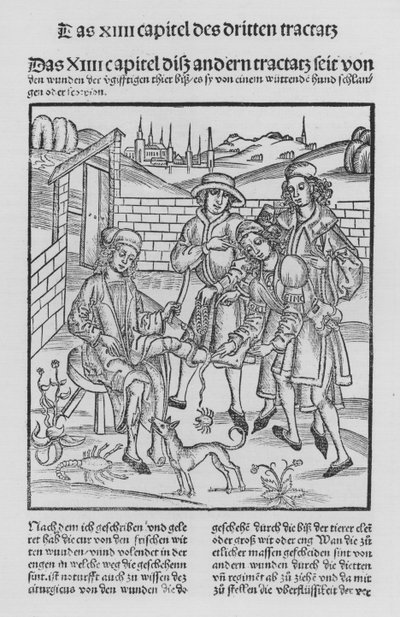 Das Buch der Chirurgie von Hieronymus Brunschwig von (after) German School
