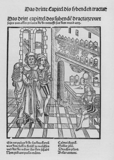 Das Buch der Chirurgie von Hieronymus Brunschwig von (after) German School