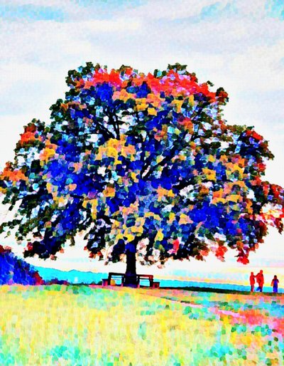Der Heilige Baum. Maria Plain. von Margareta Uliarte