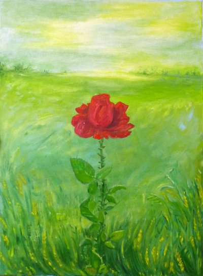Rose von Elzbieta Goszczycka
