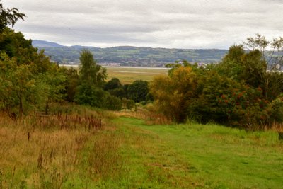 Natur Landschaft von Albert Mansour