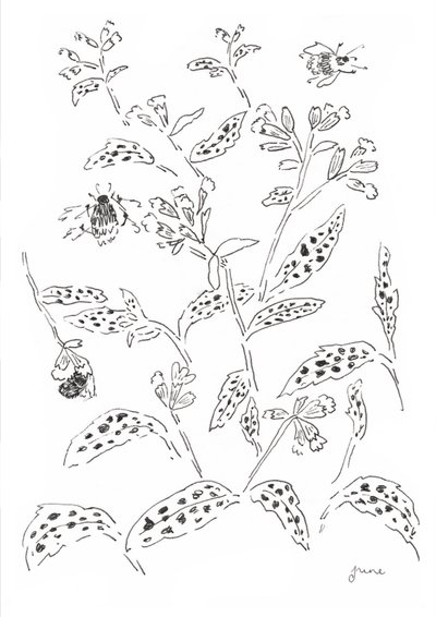 Hummel und Wildblumenstudie von june art