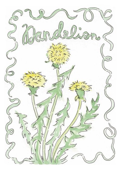 Löwenzahn von june art