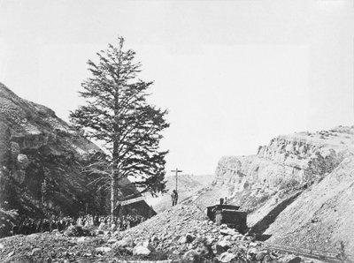 Tausend-Meilen-Baum am Wilhelmina-Pass mit einer Gruppe von Menschen am Fuß und einem Mann an der Spitze des Baumes neben der Eisenbahn. von A.J. Russell