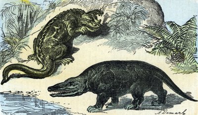 Urgeschichte: Darstellung eines Iguanodon und Megalosaurier aus der Kreidezeit von A. Demarle
