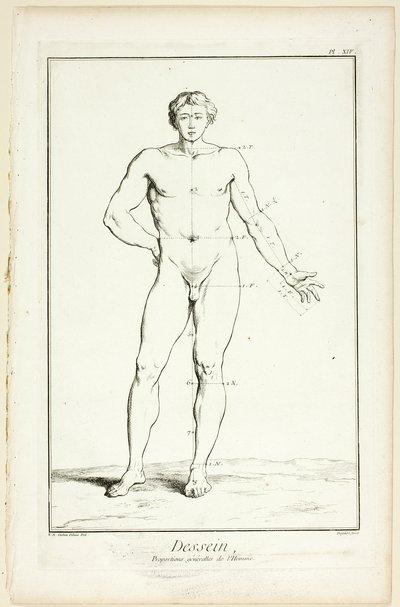 Design: Allgemeine Proportionen des Mannes, aus Encyclopédie von A. J. Defehrt