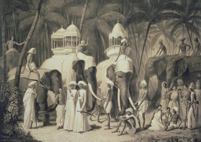 Elefanten des Raja von Travandrum, aus 