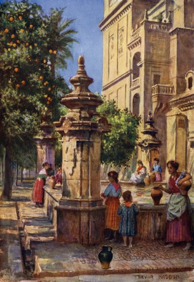 Córdoba, Brunnen im Patio de los Naranjos von A. Trevor Haddon