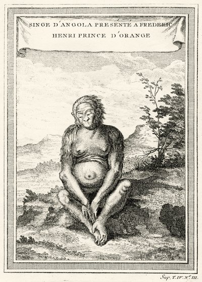 Illustration des Orang-Outang, präsentiert an Friedrich Heinrich, Prinz von Oranien, 1750 von Abbé Prévost