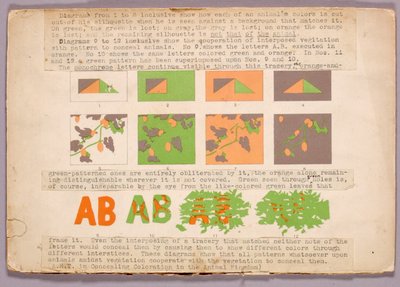 Diagramm und Kupferkopf-Schlange, Studienmappe zum Buch Concealing Coloration in the Animal Kingdom von Abbott Handerson Thayer